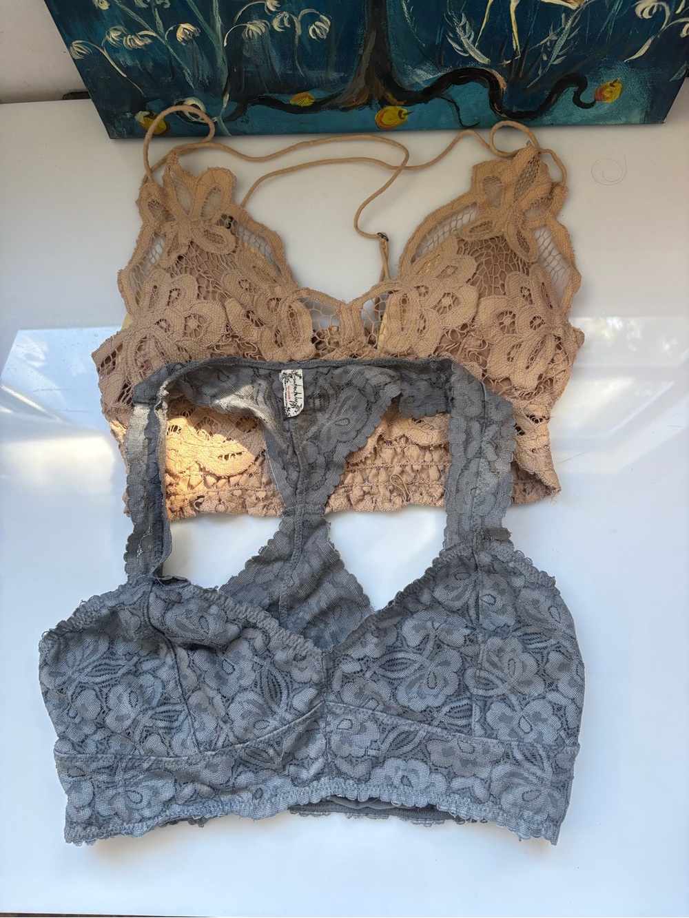 Free People Lace Bralette Duo — Beige and Gray